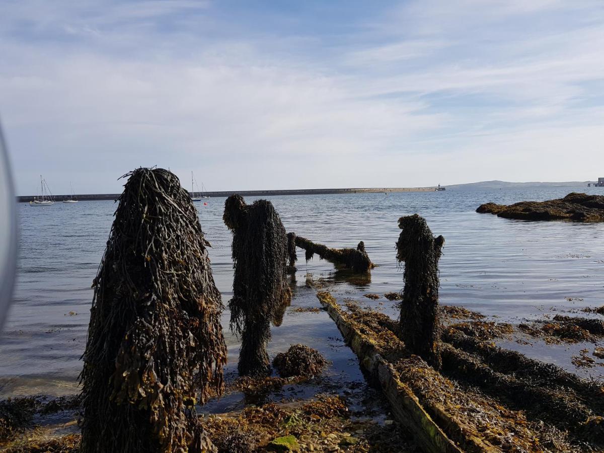 The Hut Wales - A Sea Front Inn Holyhead Ngoại thất bức ảnh